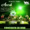 Ameyalli - Montes Punku Concierto (feat. Paco Lennon Y Su Onnor Band) [En Vivo] - Single